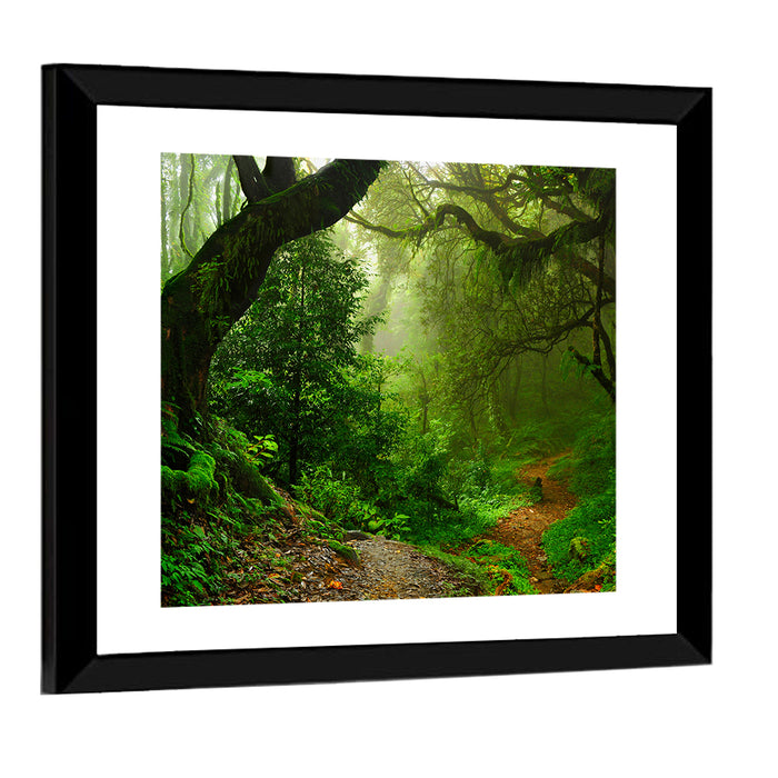 Misty Forest Trail in Nepal Wall Art as a framed print