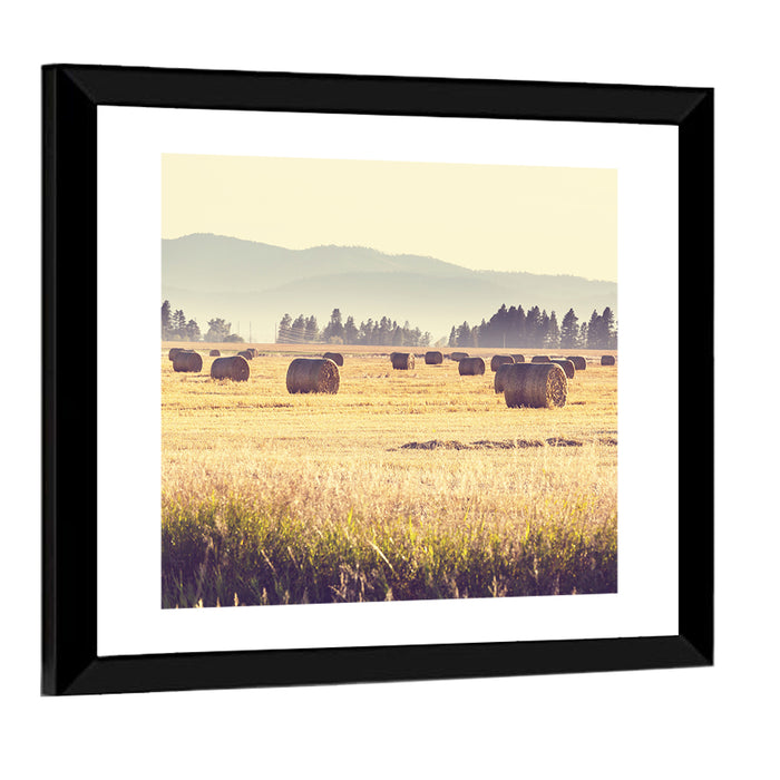 Golden Hay Bales Field Wall Art as a framed print