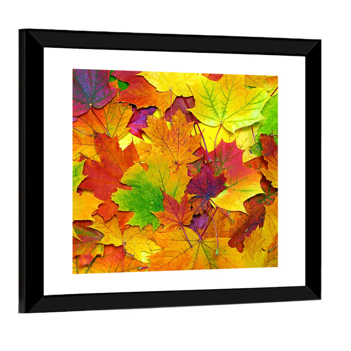 Colorful Autumn Leaves Wall Art as a framed print