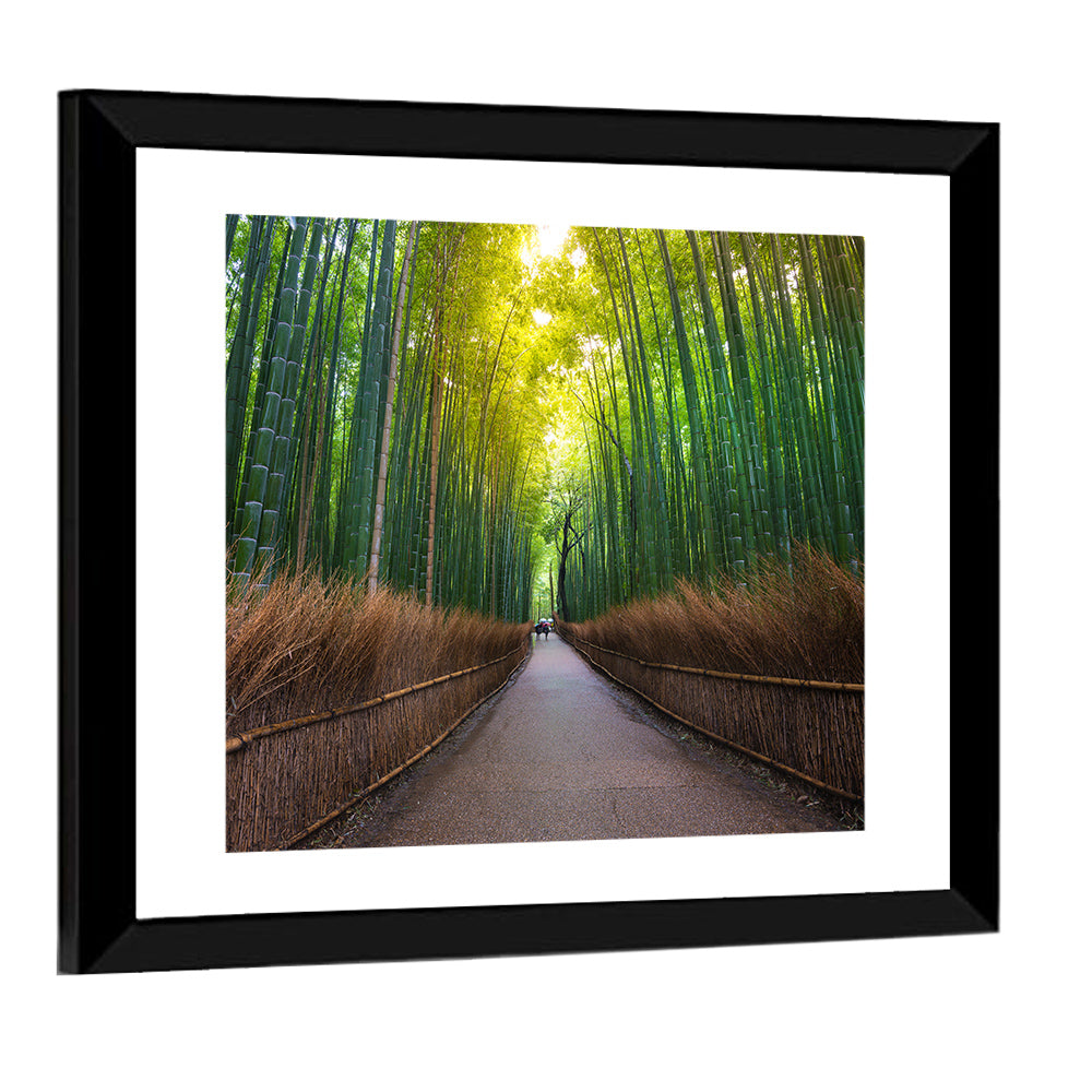 Bamboo Forest In Kyoto Wall Art