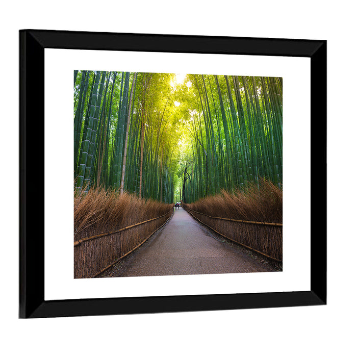 Kyoto Bamboo Forest Wall Art as a framed print