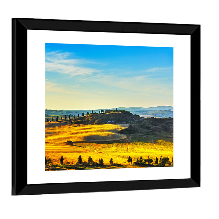 Cypress Trees Over Golden Fields Wall Art as a framed print
