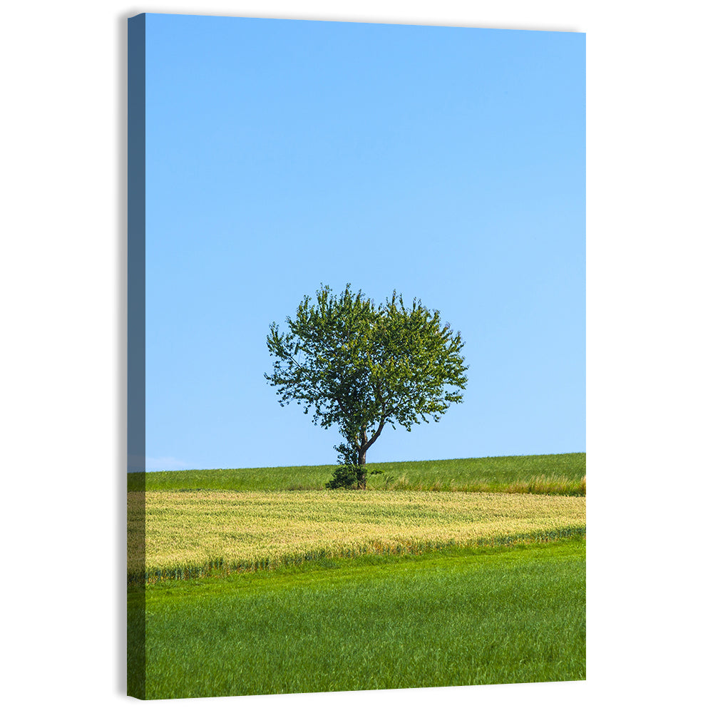 Solitary Tree on Rolling Meadow Wall Art, canvas print, portrait