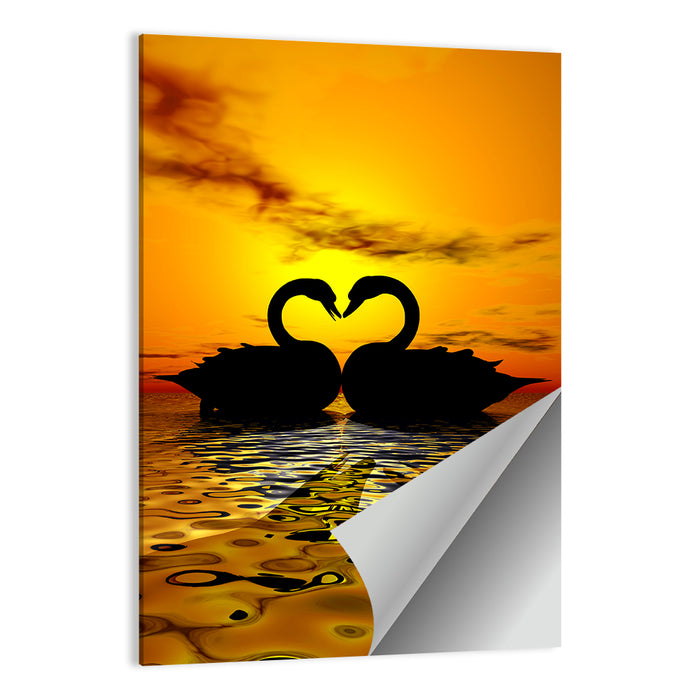 Swans Forming Heart at Sunset Wall Art as a poster print