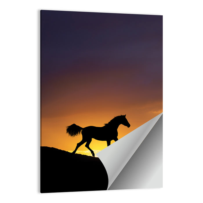 Running Horse Silhouette Wall Art as a poster print