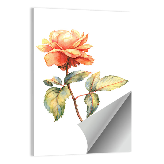 Orange Watercolor Rose Illustration Wall Art as a poster print