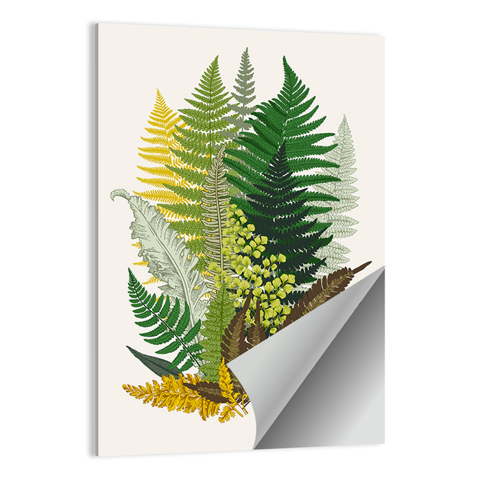 Fern Composition Wall Art as a poster print