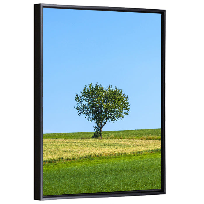 Solitary Tree on Rolling Meadow Wall Art as a framed canvas
