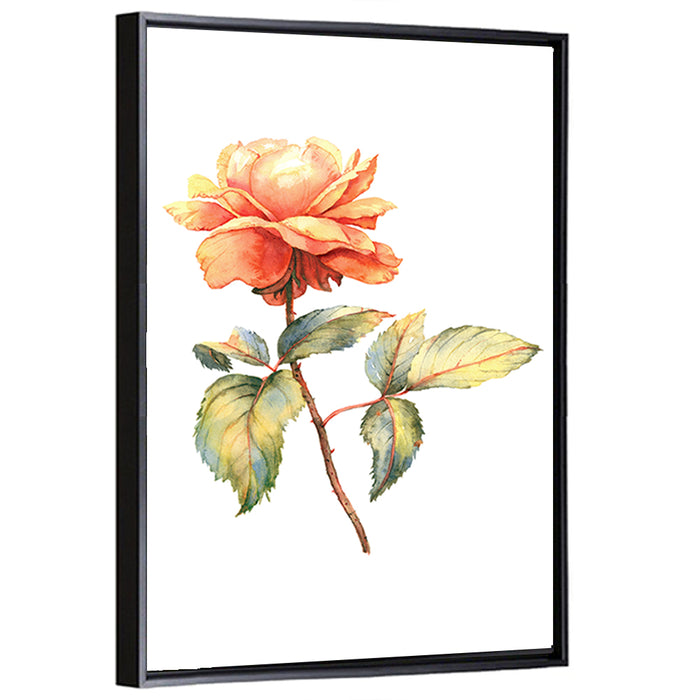 Orange Watercolor Rose Illustration Wall Art as a framed canvas
