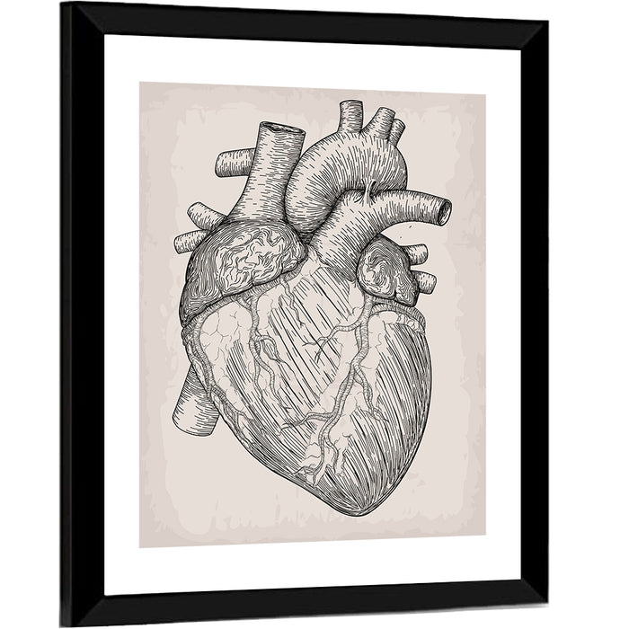 Human Heart Sketch Wall Art as a framed print