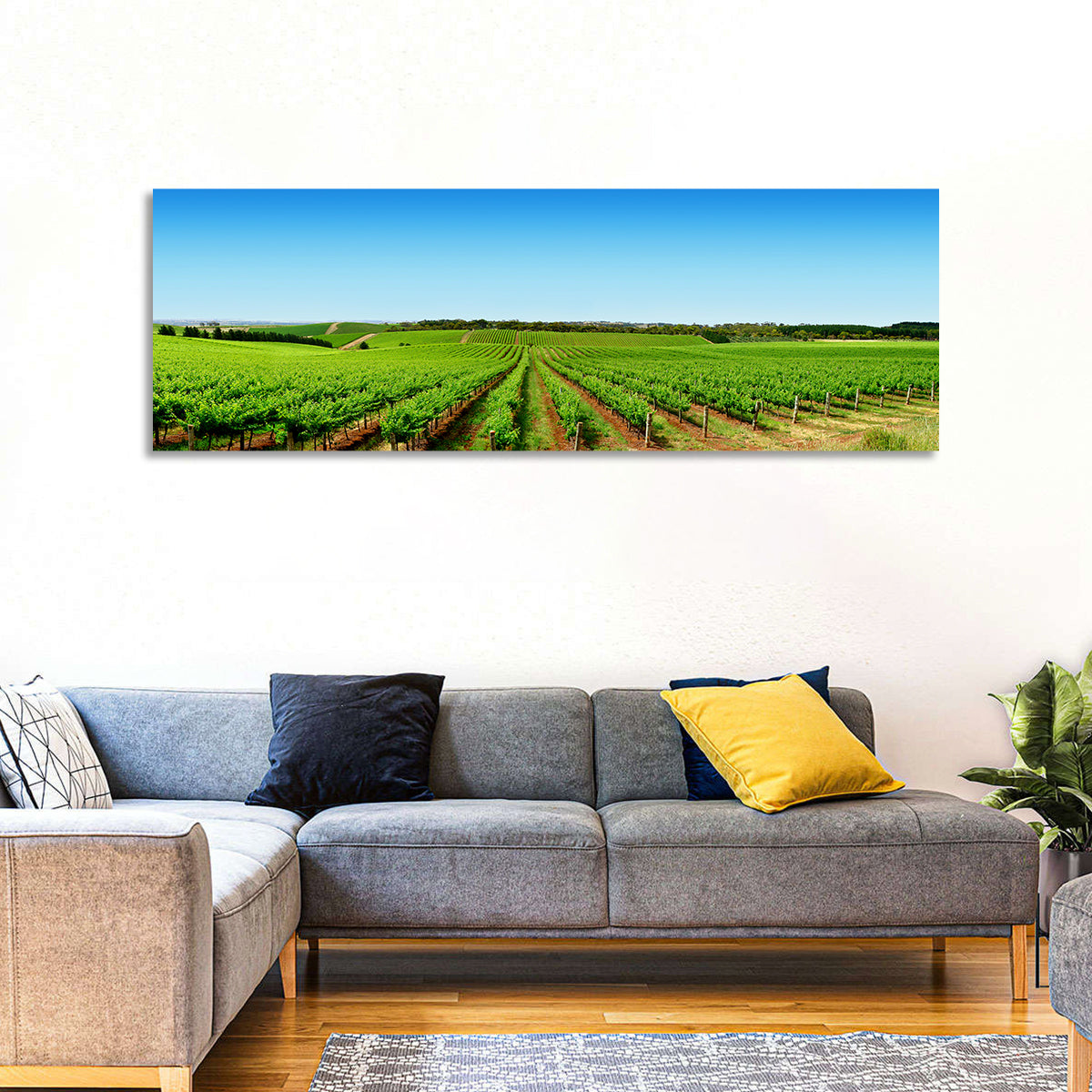 Vineyard Landscape Wall Art