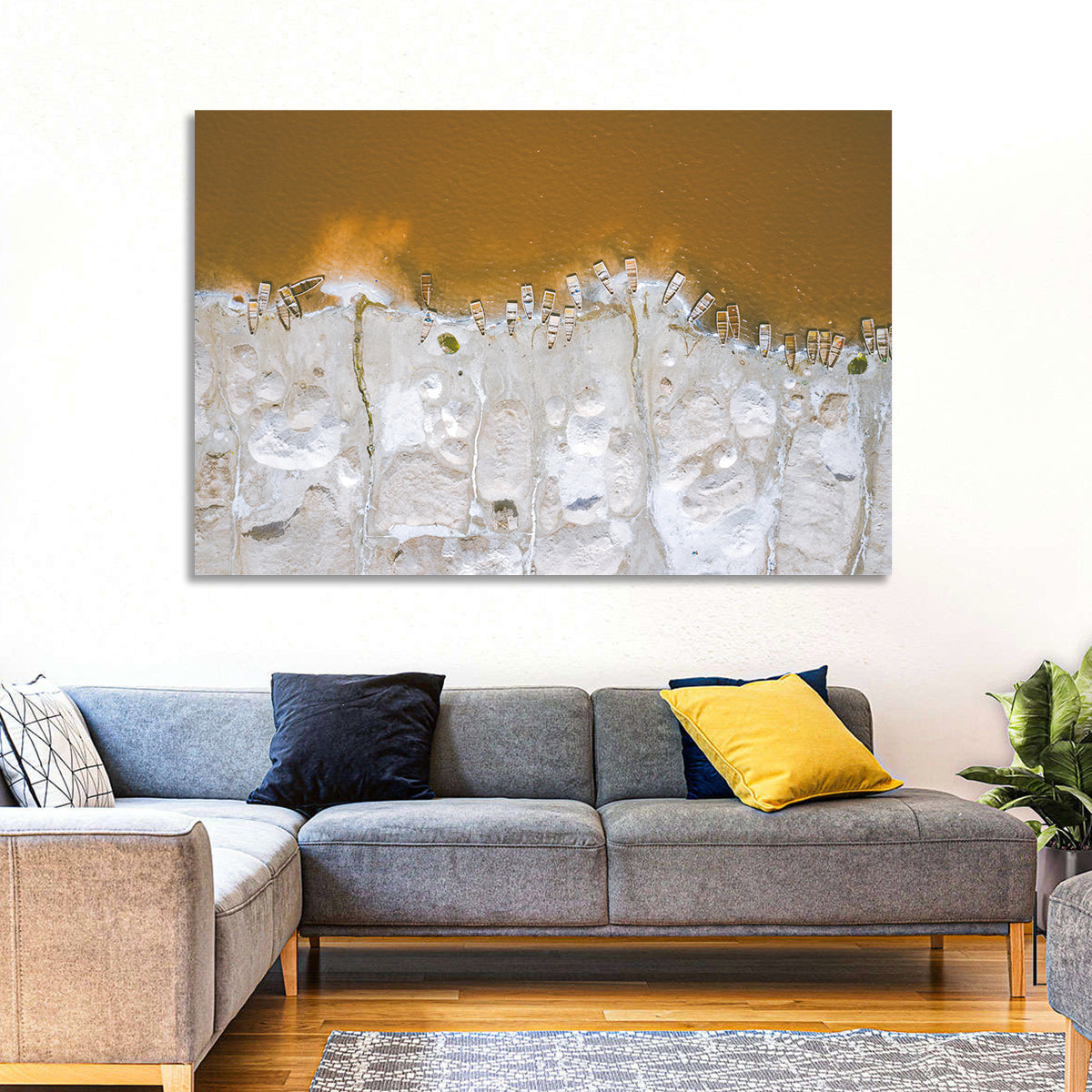 Lake Rose Senegal Wall Art