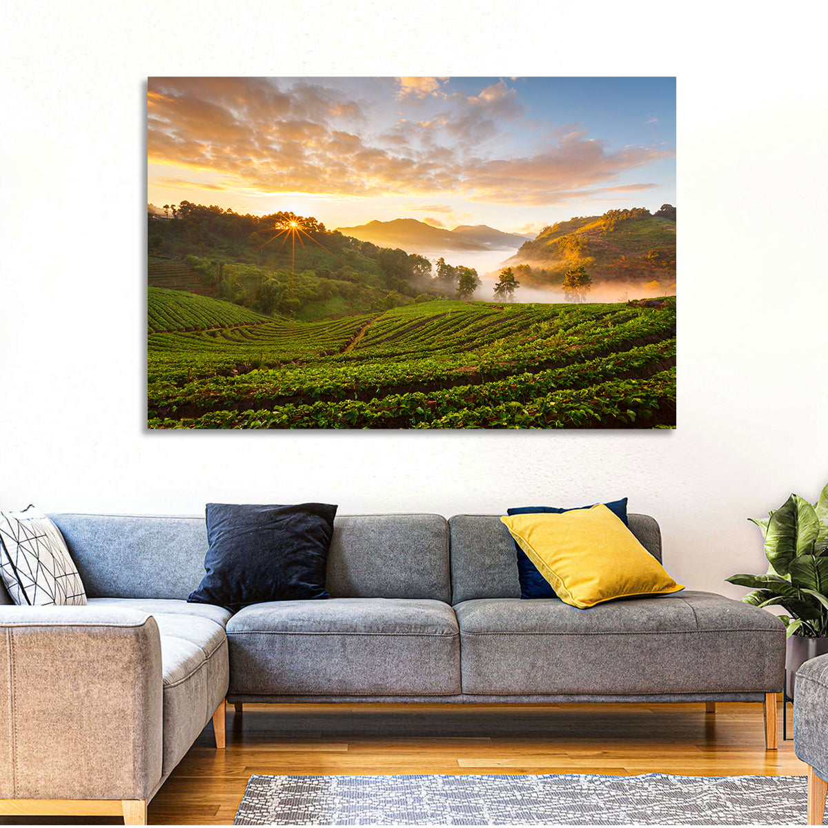 Strawberry Fields Wall Art