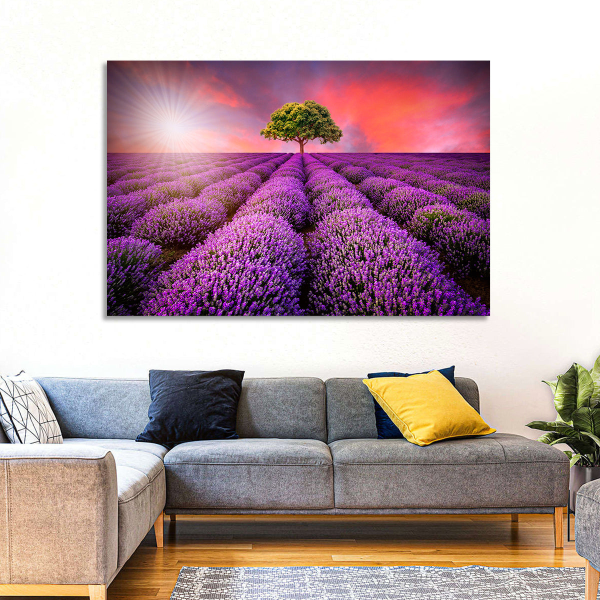 Lavender Field Sunset Wall Art