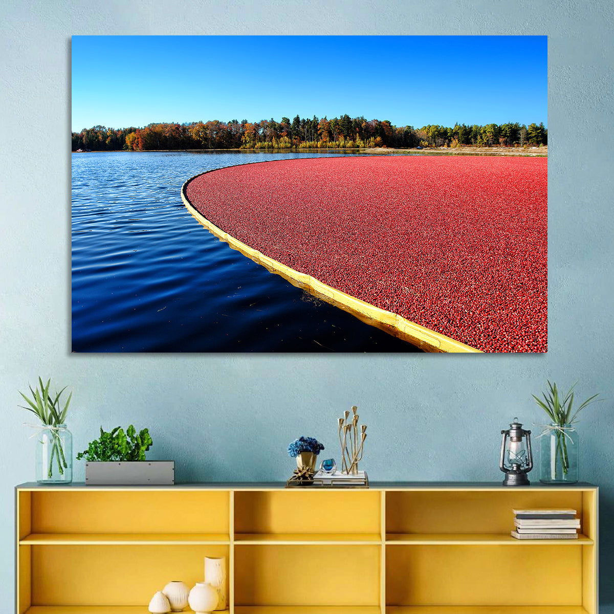 Flooded Cranberry Bog Wall Art