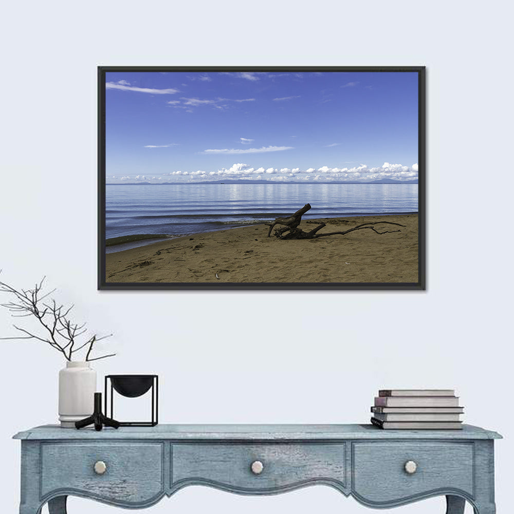 Shallow Lake Khanka Wall Art