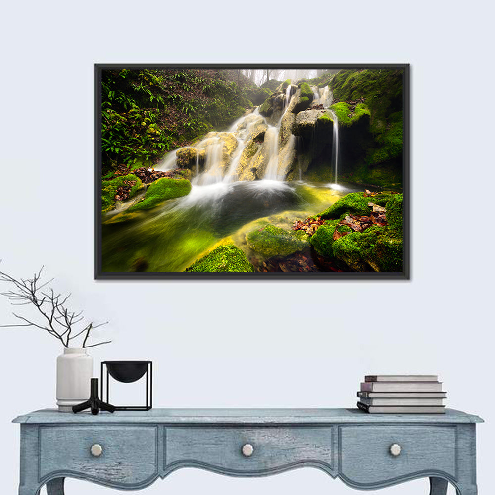 Waterfall in Cheile Nerei Wall Art