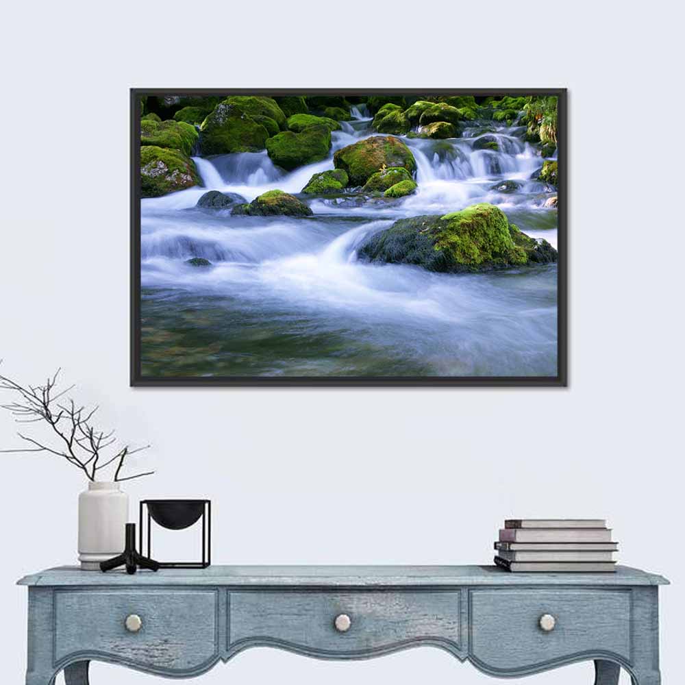 Forest Stream Wall Art