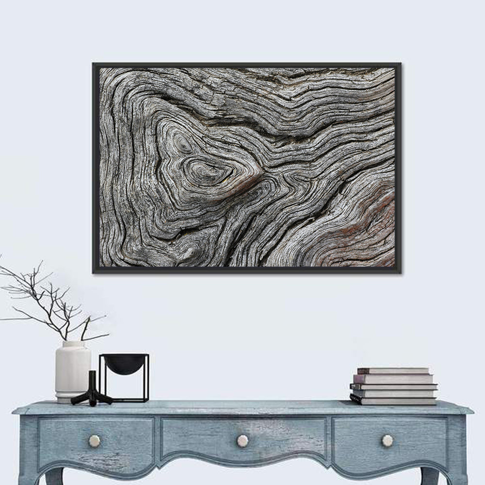 Tree Lifecycles Wall Art