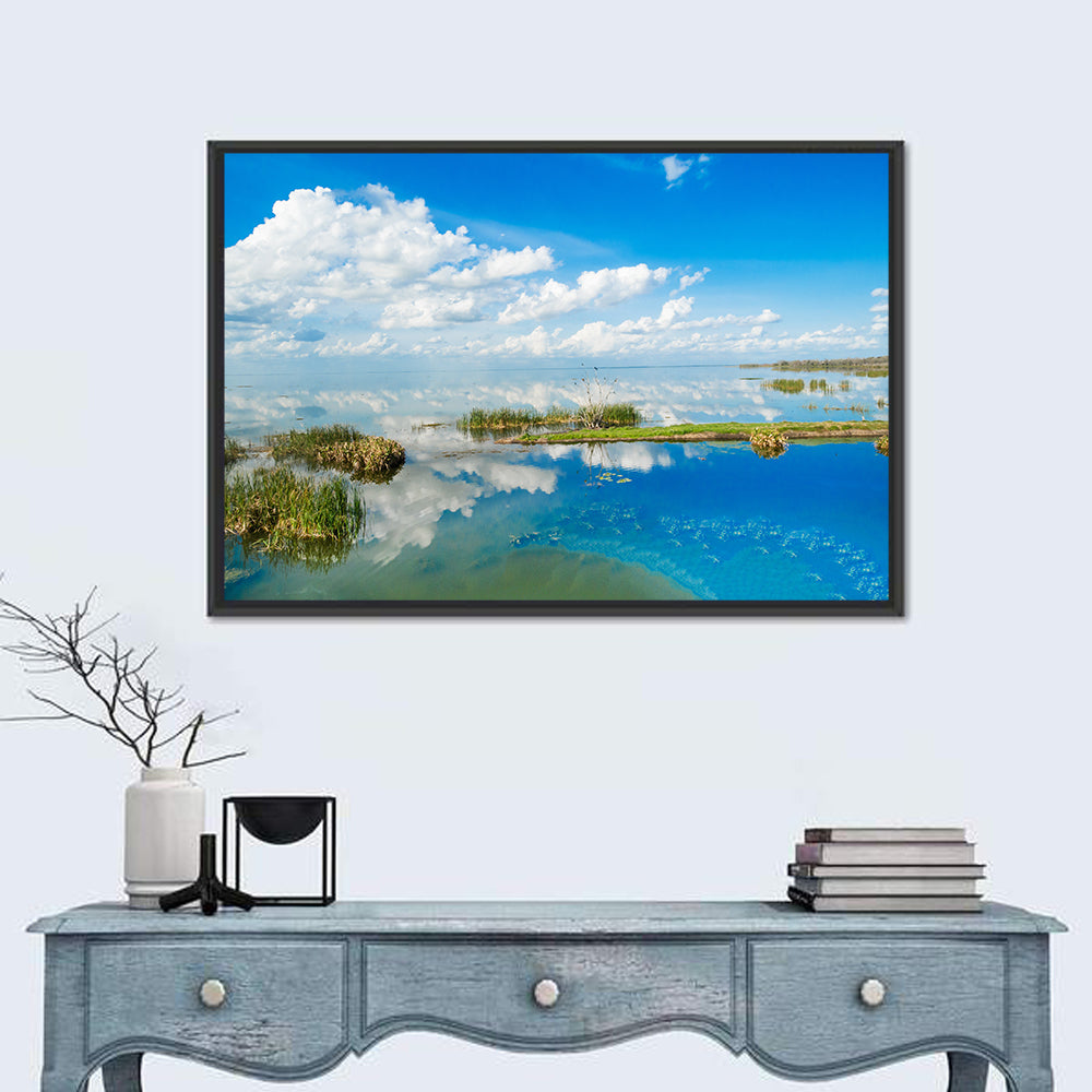 Lake Apopka Wall Art