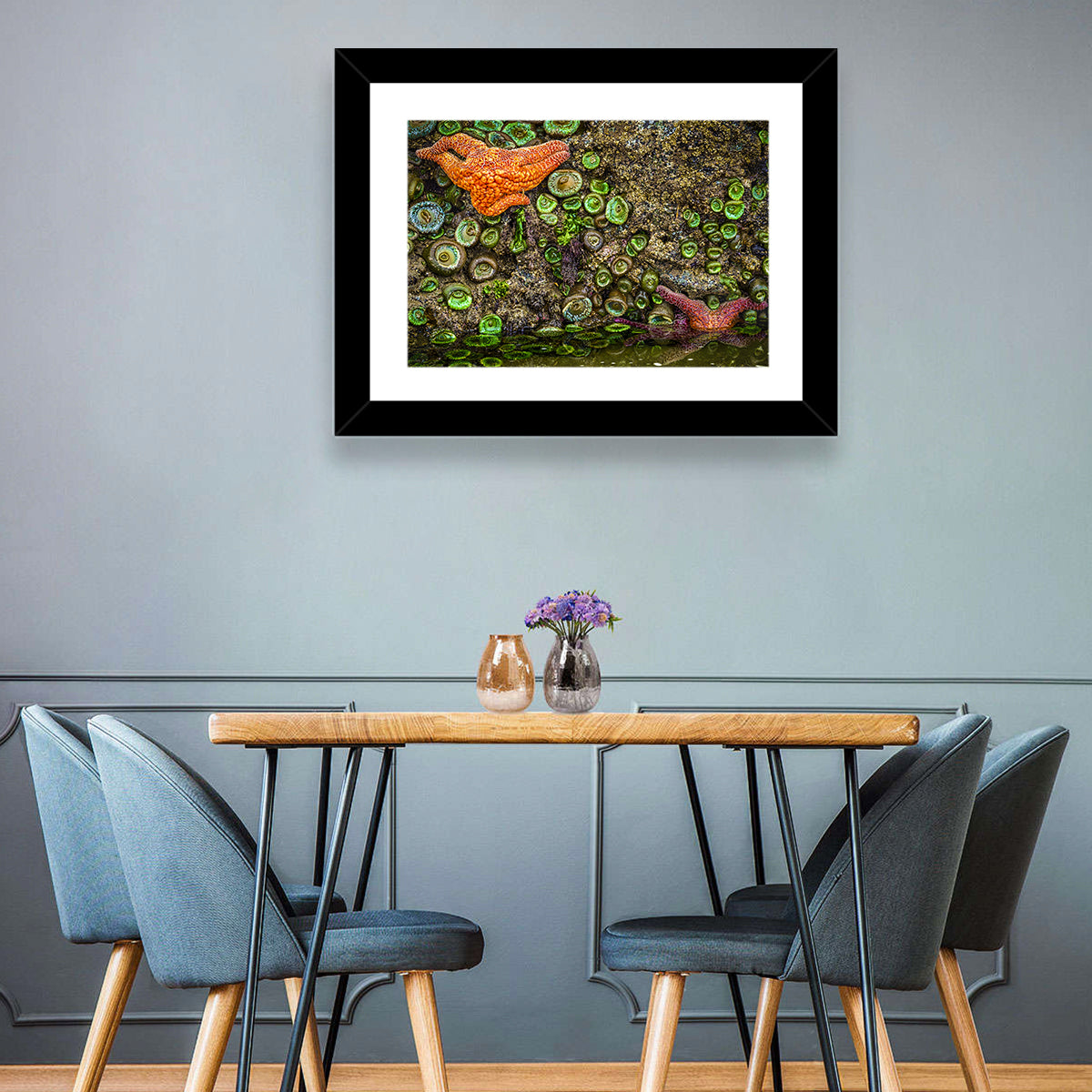 Orange Starfish Wall Art