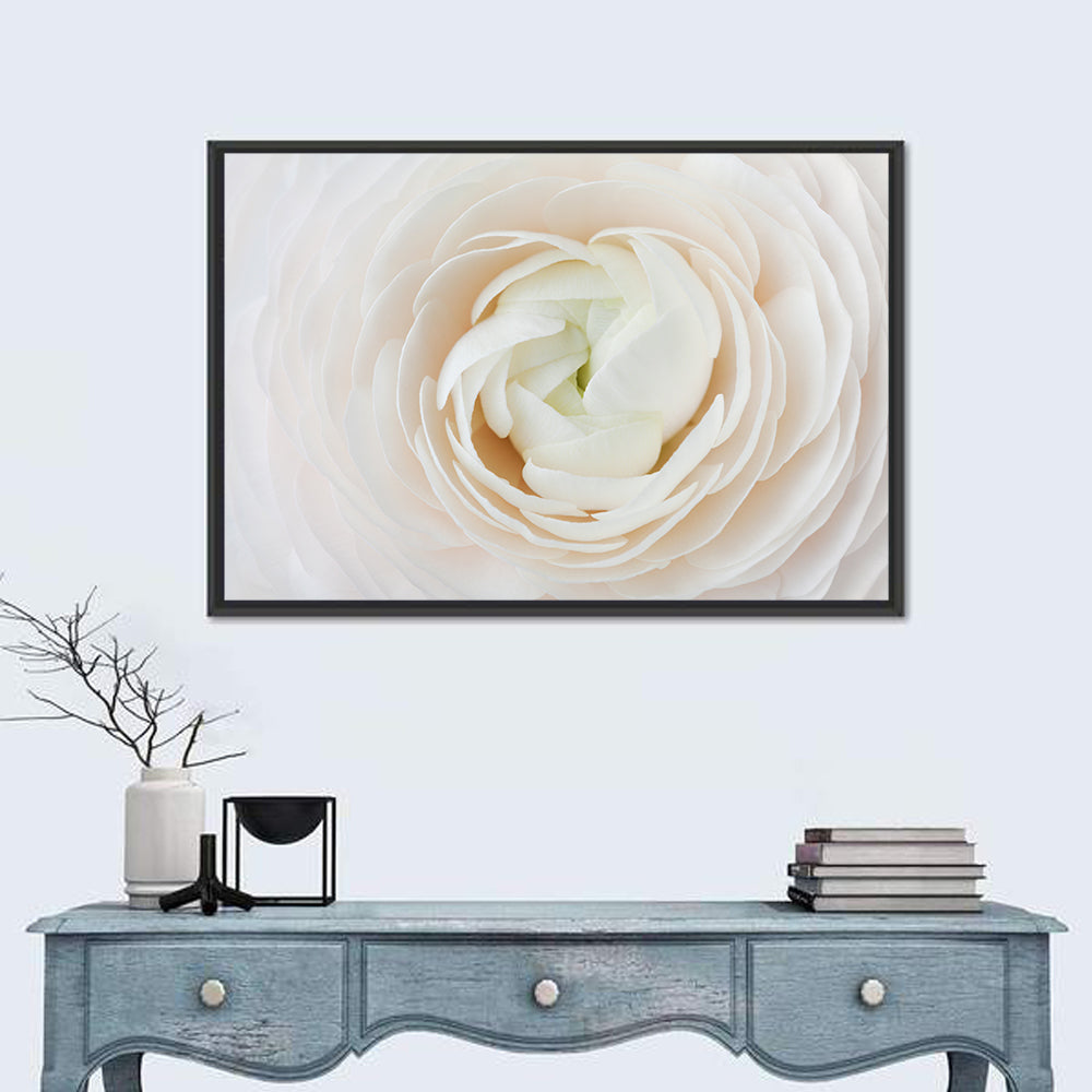 Peach Ranunculus Floral Wall Art