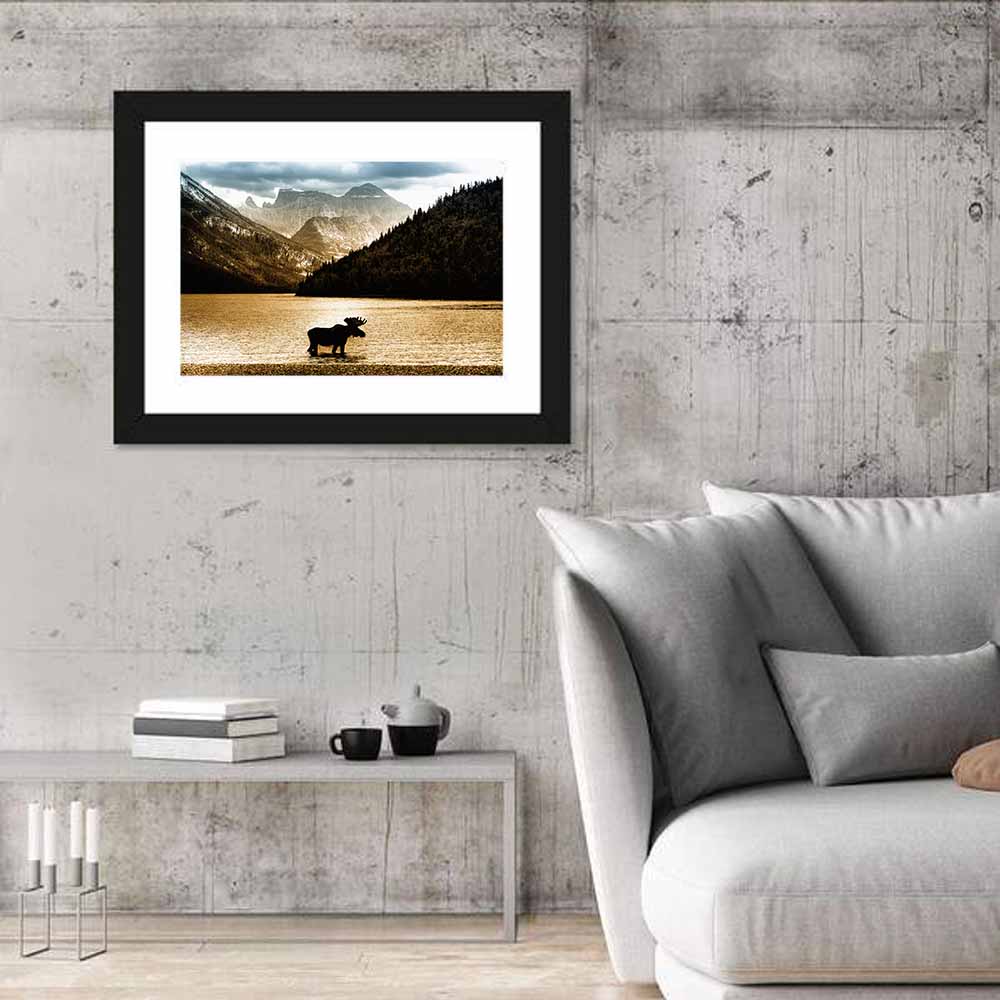 Moose In Waterton Lake Wall Art