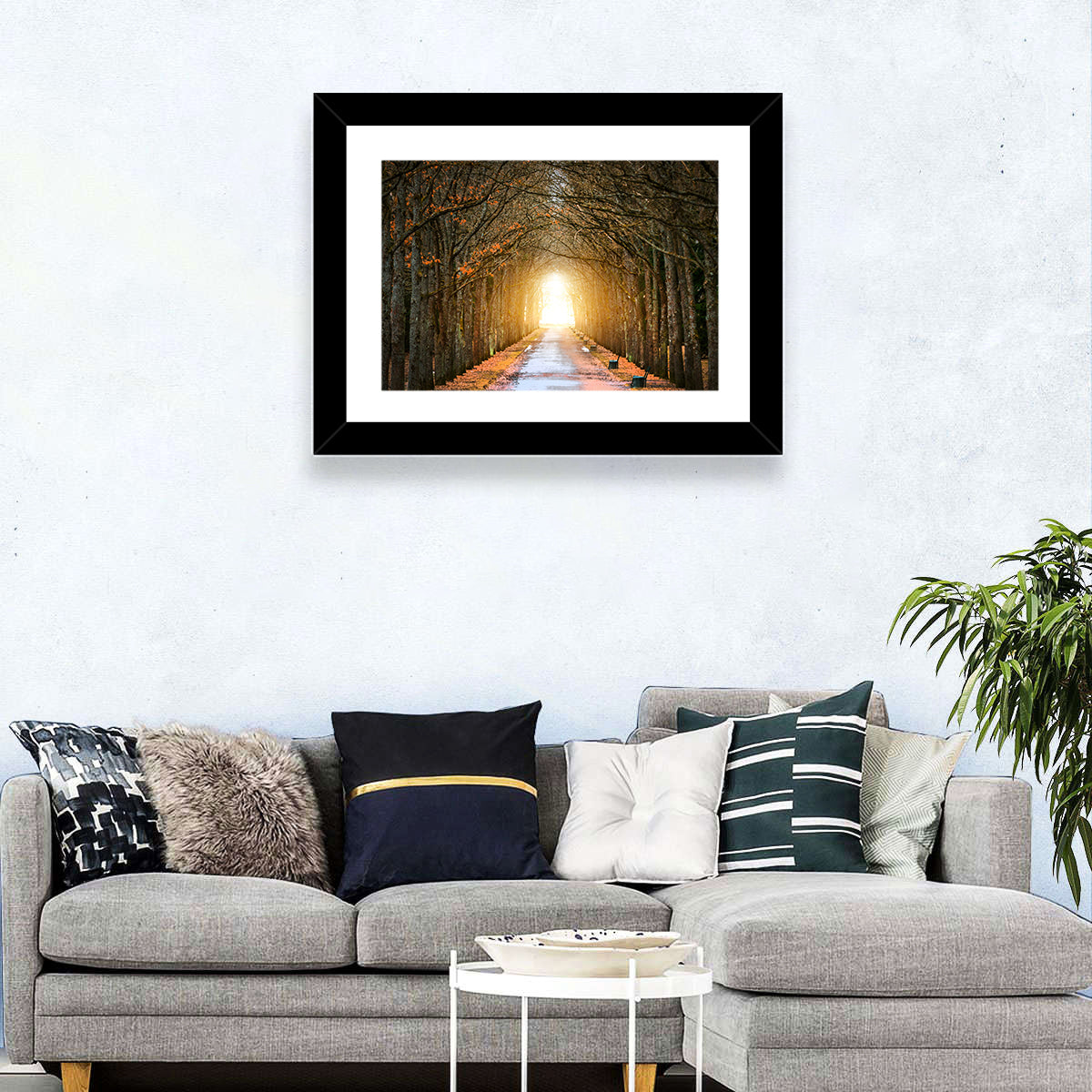 Oaks Tree Tunnel Wall Art