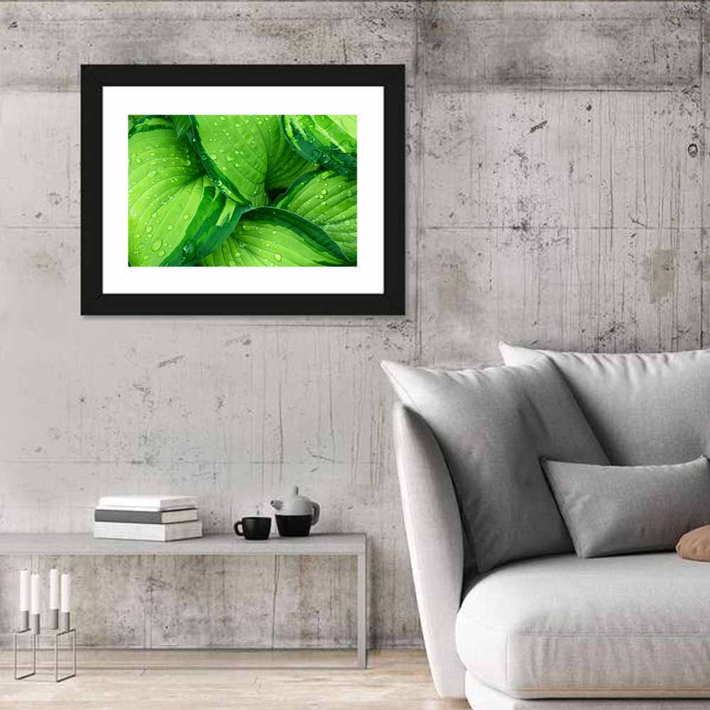 Botanical Foliage Wall Art