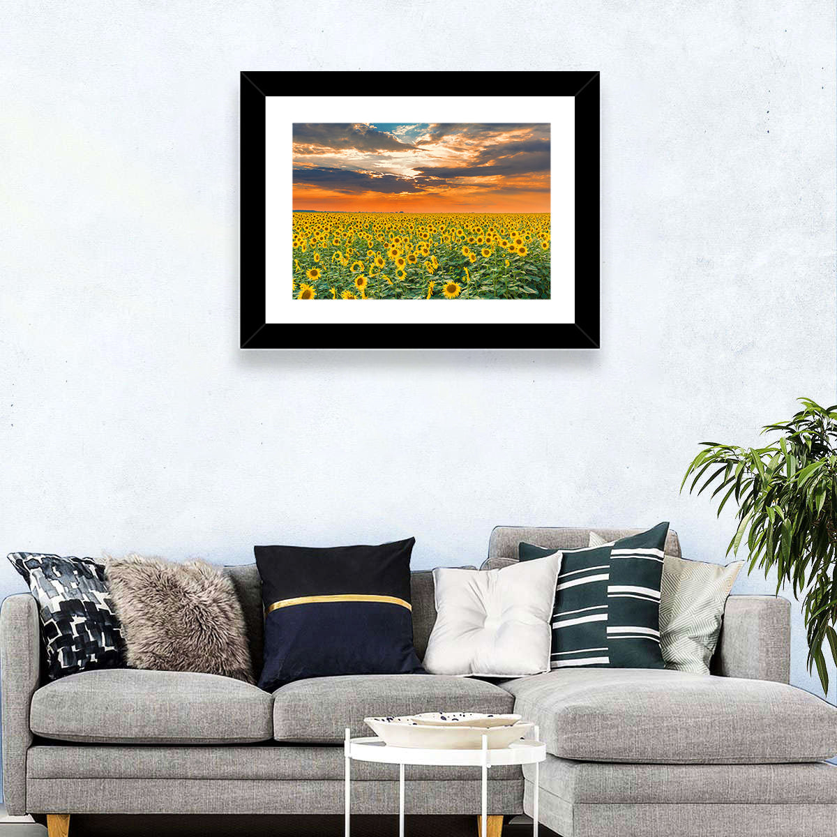 Sunflower Field Wall Art
