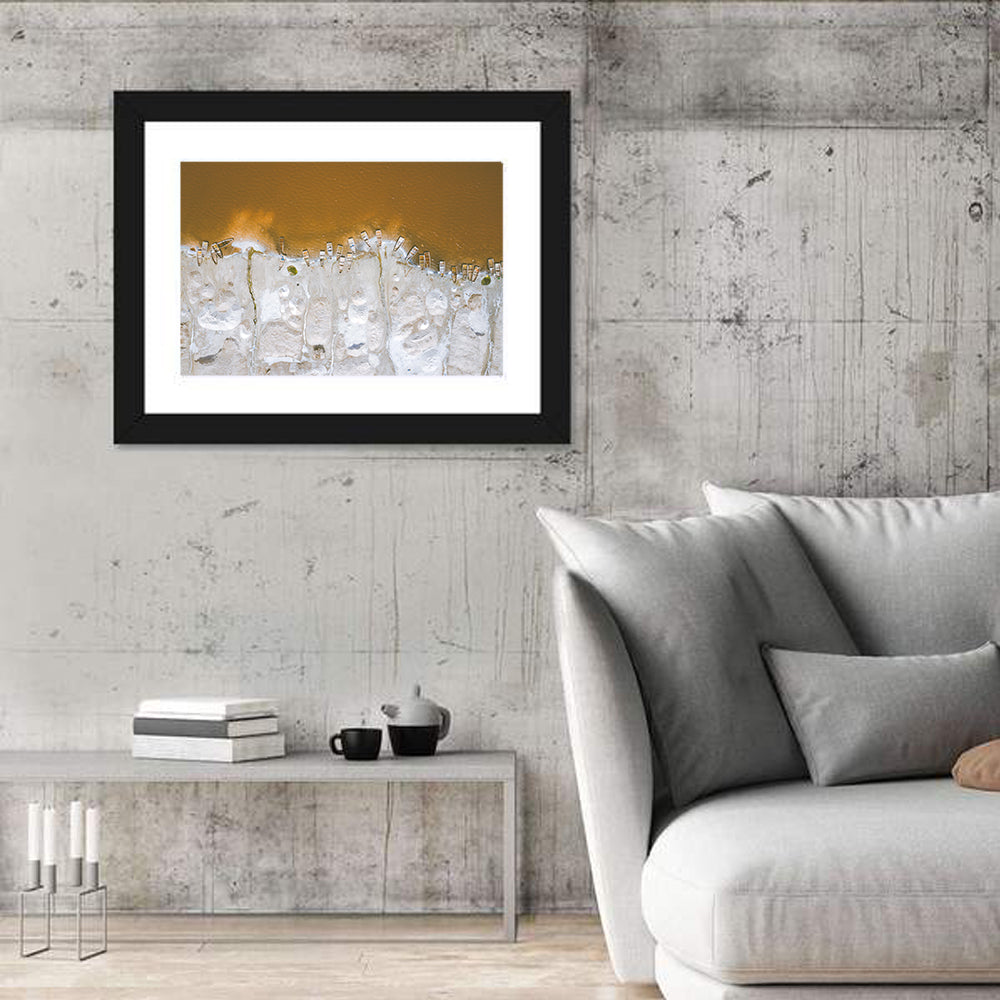 Lake Rose Senegal Wall Art