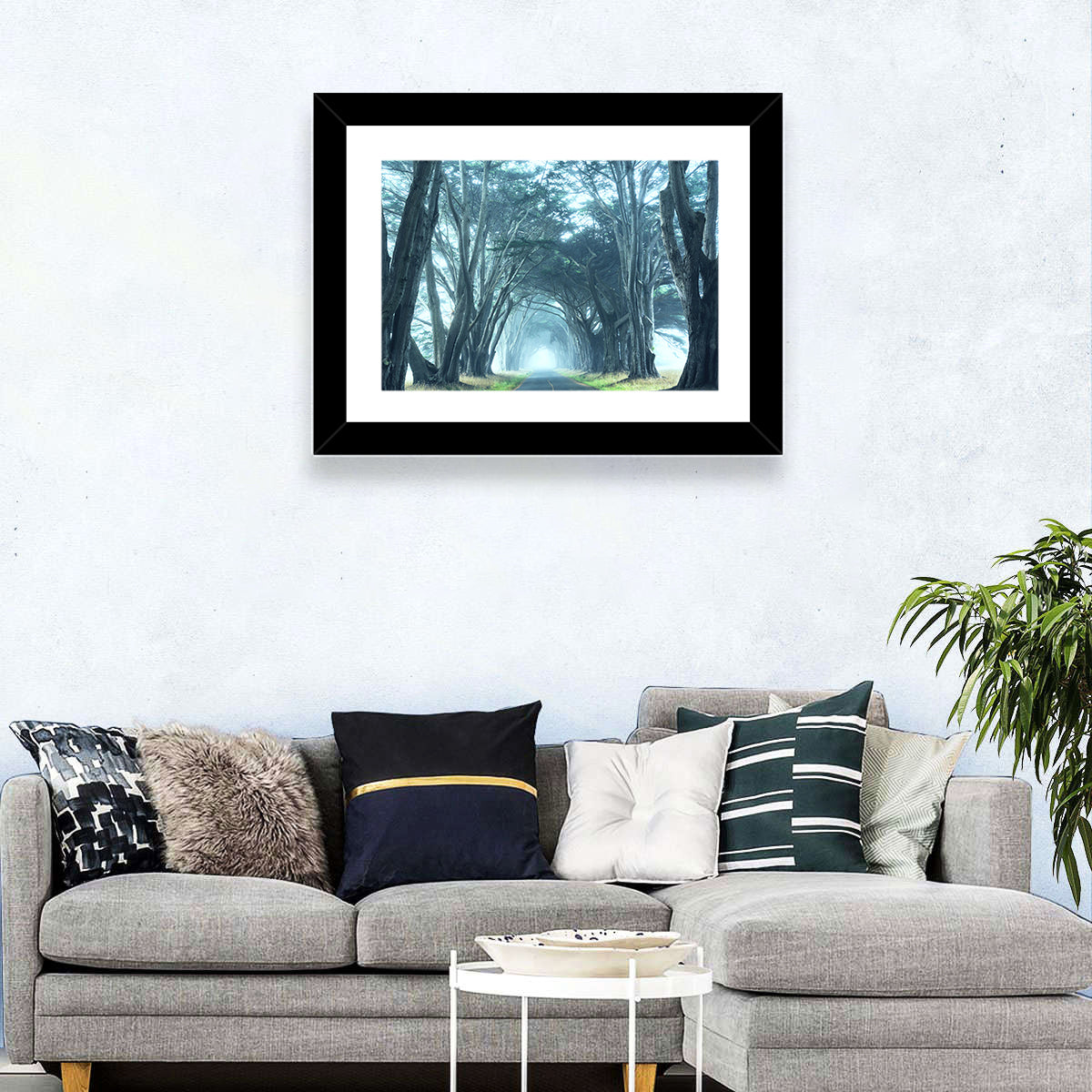 Foggy Trees Alley Wall Art
