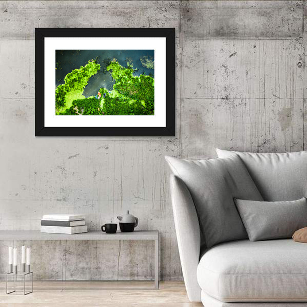 Green Algae Wall Art