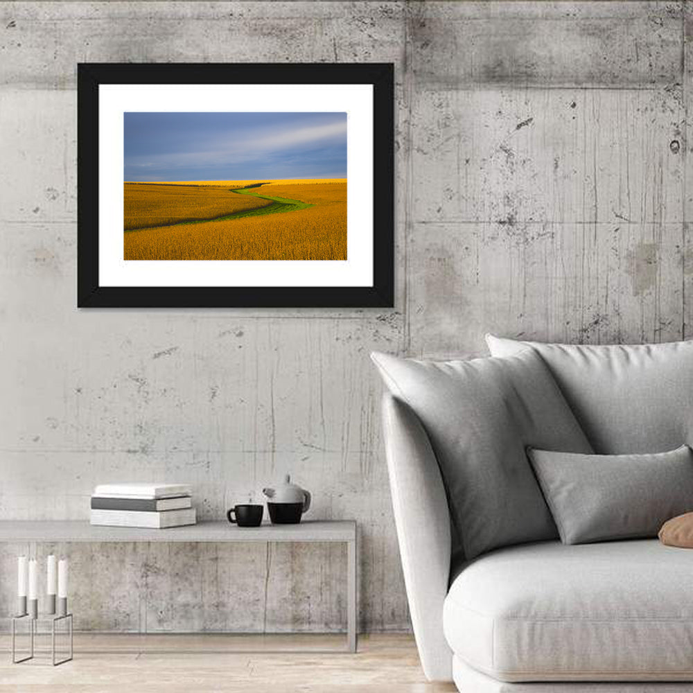 Soybean Field Wall Art
