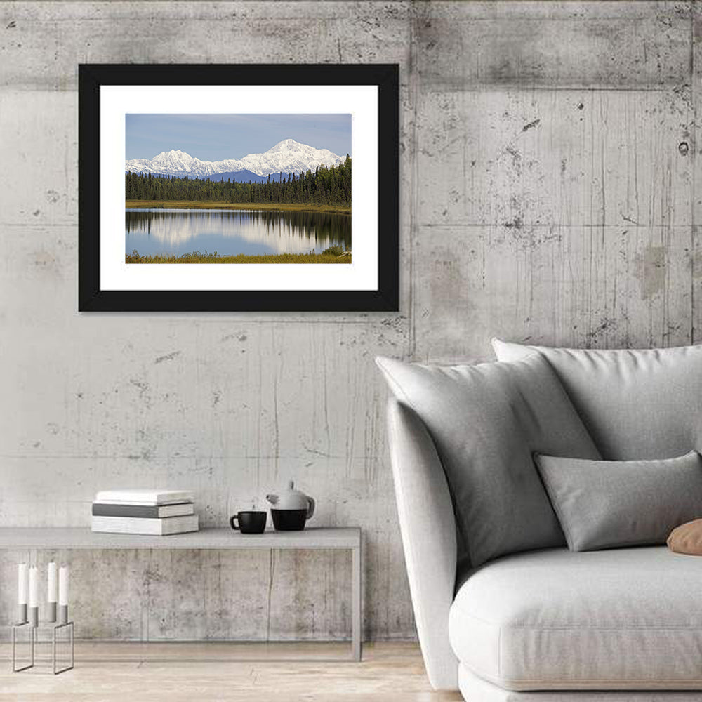 Denali Mountain Wall Art