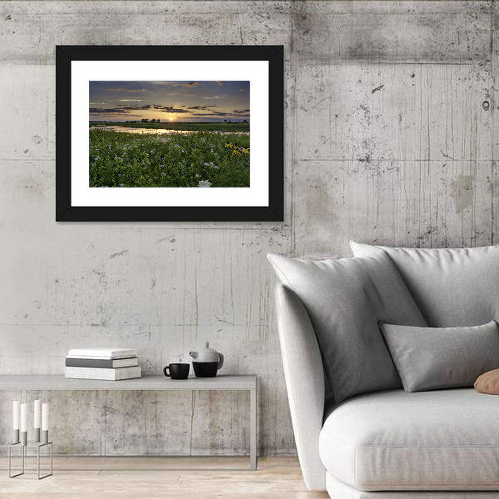 Illinois Fields Sunset Wall Art