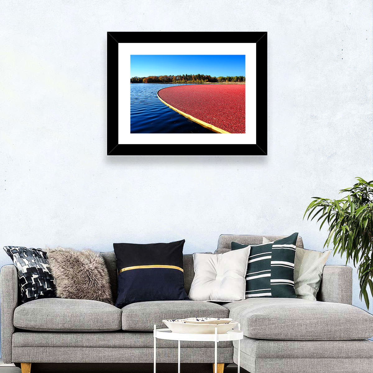 Flooded Cranberry Bog Wall Art