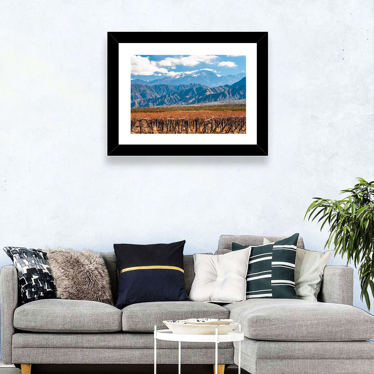Volcano Aconcagua And Vineyard Wall Art