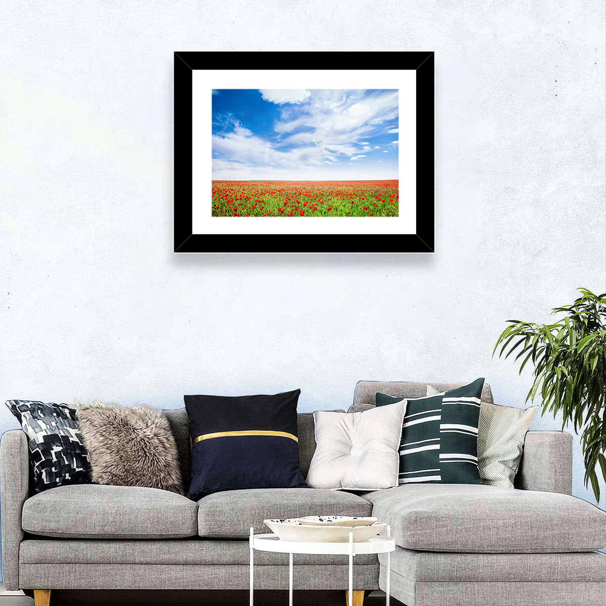 Poppy Field Wall Art