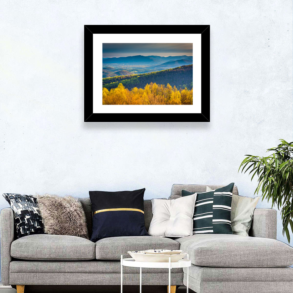 Shenandoah National Park Wall Art