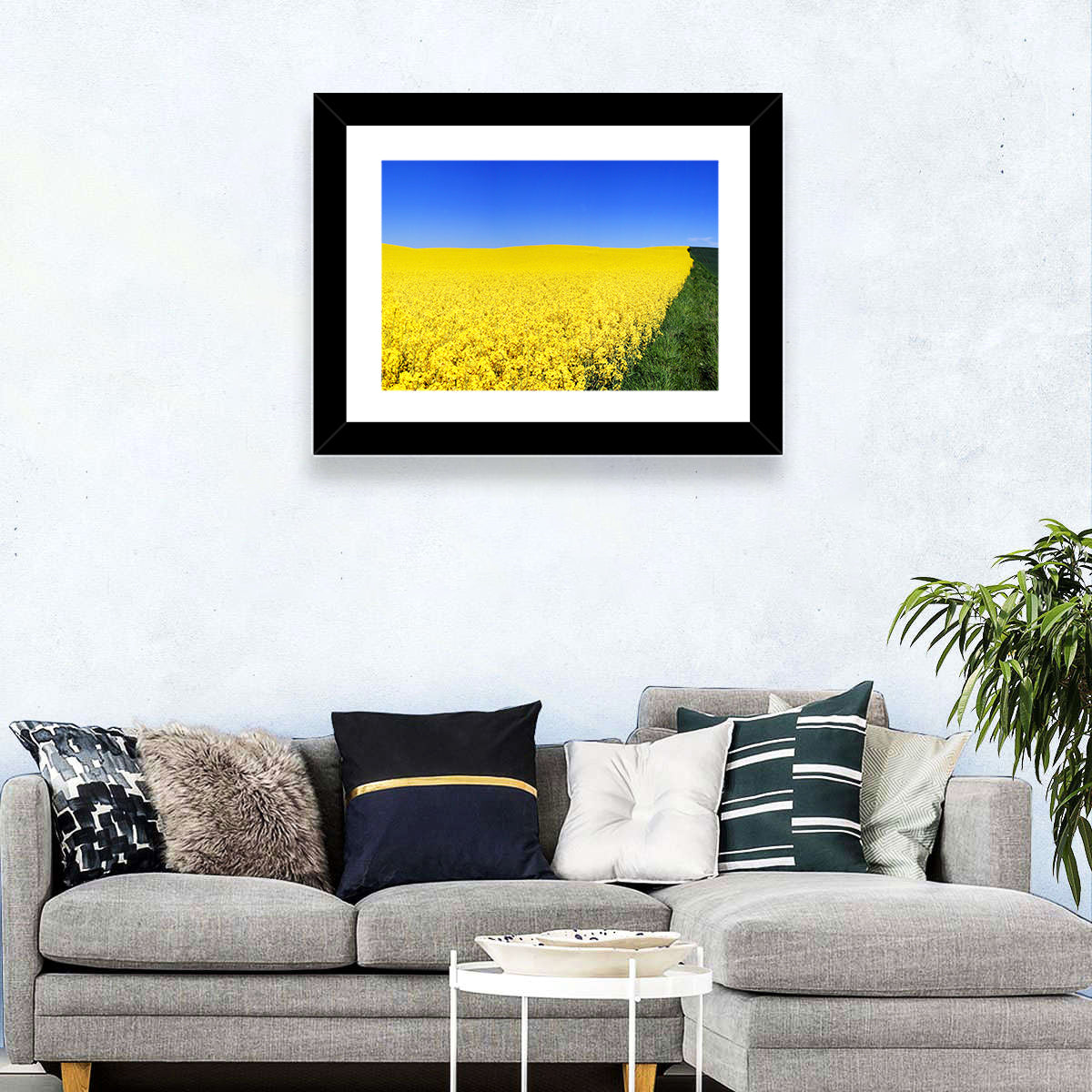 Rapeseed Field Wall Art