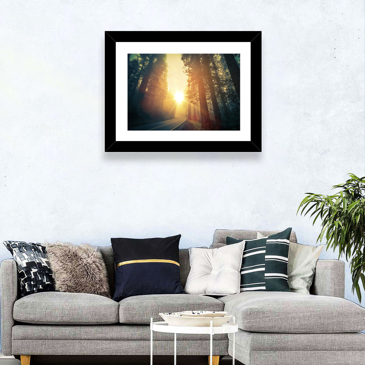 Redwood Forest Road Wall Art