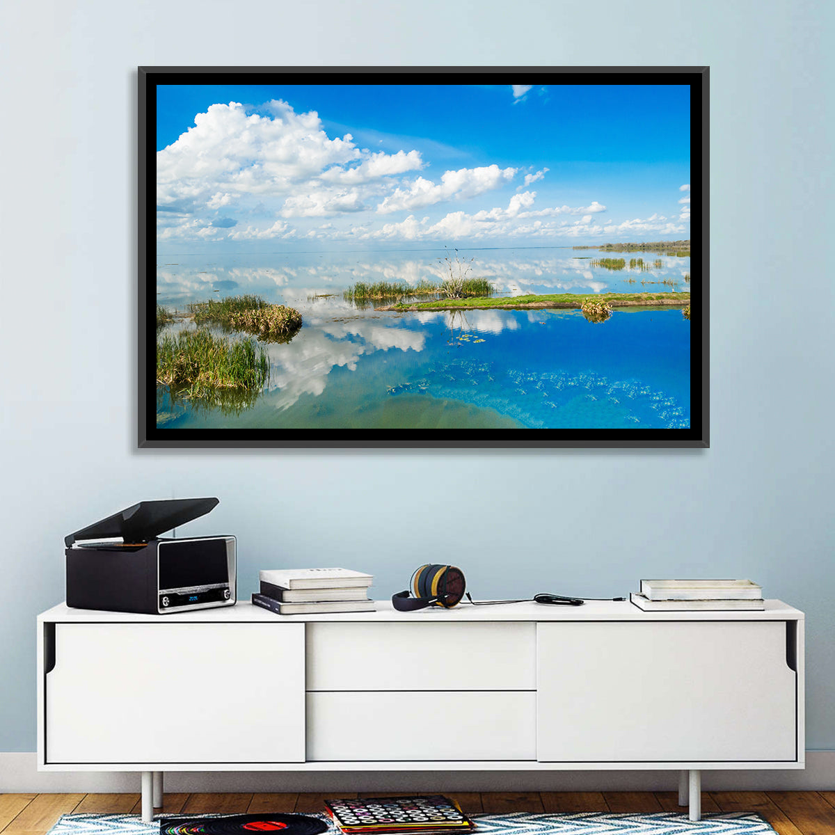 Lake Apopka Wall Art