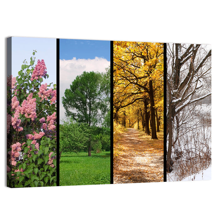 Four Seasons Tree Collage Wall Art as a canvas print