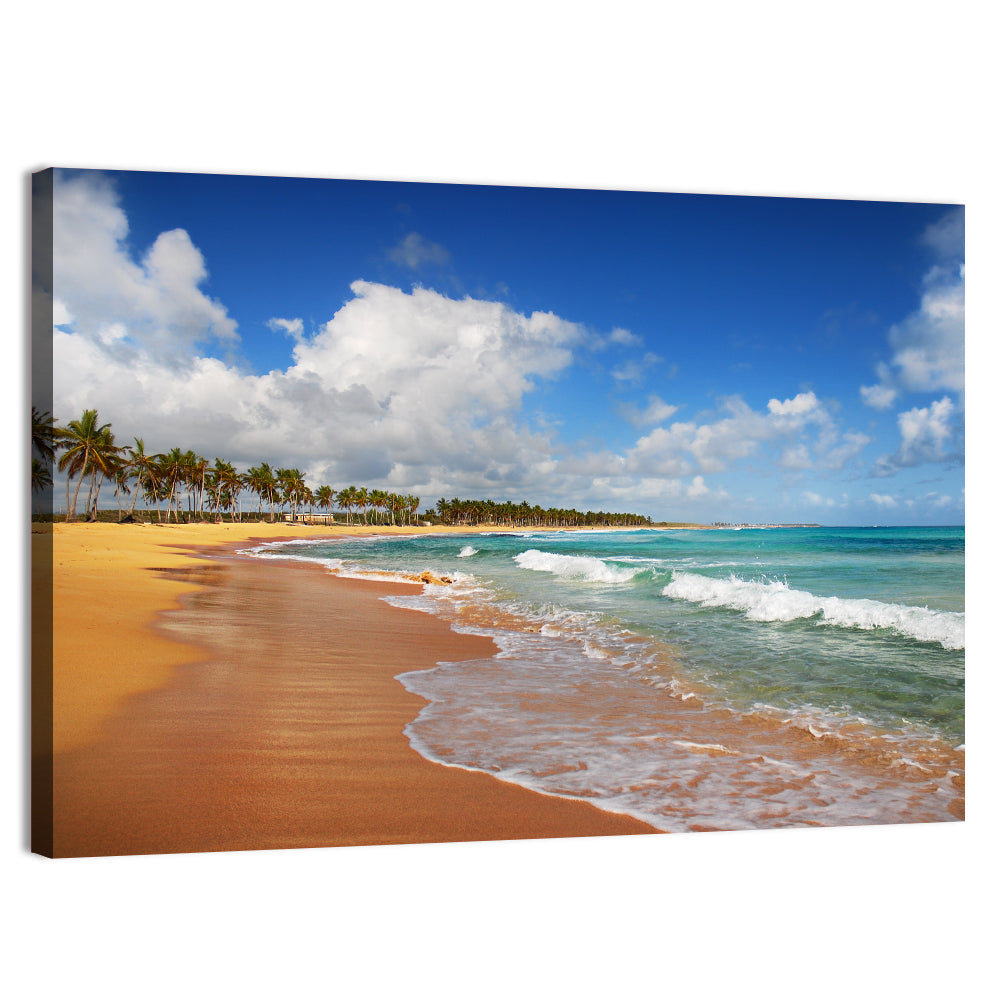 Palm Lined Tropical Coast Wall Art, canvas print, landscape