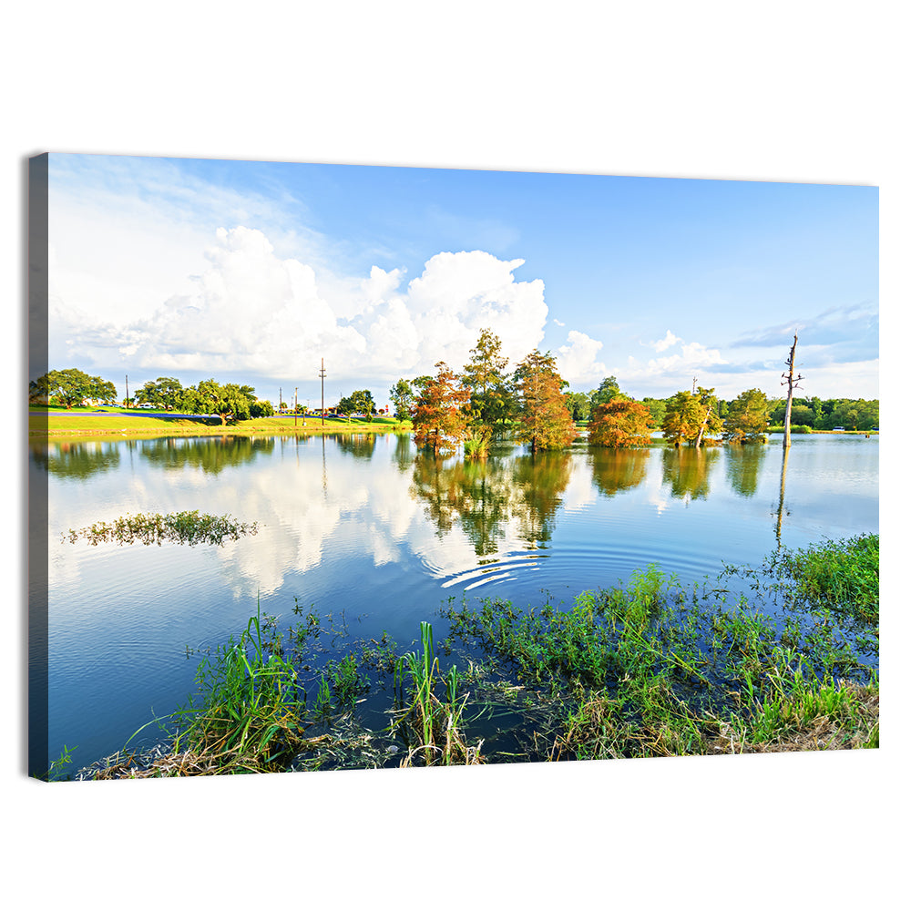 Lafayette Bayou Reflection Wall Art, canvas print, landscape