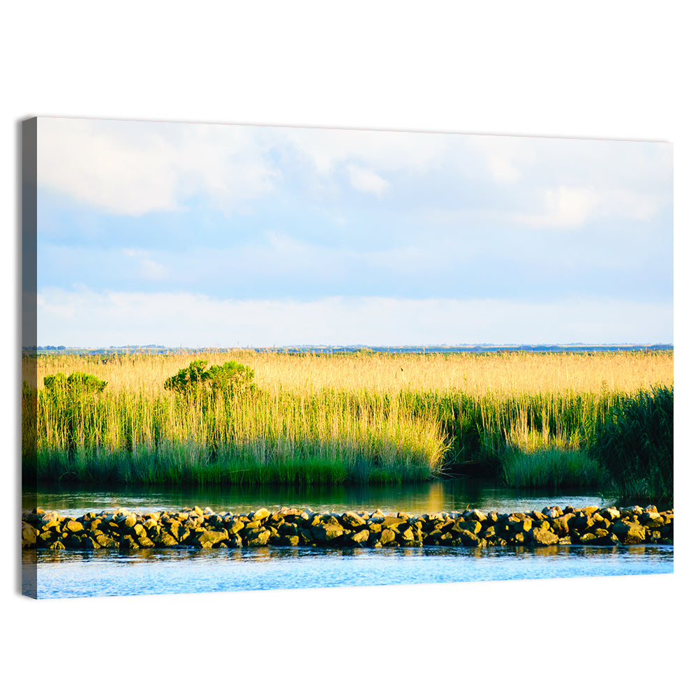 Louisiana Bayou Marsh at Golden Hour Wall Art, canvas print, landscape