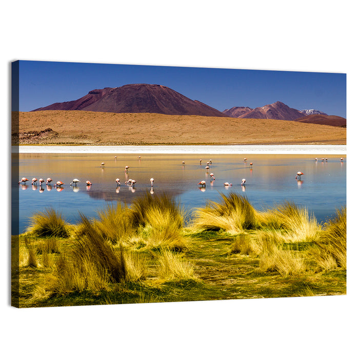 Flamingos on Salt Lake Wall Art as a canvas print