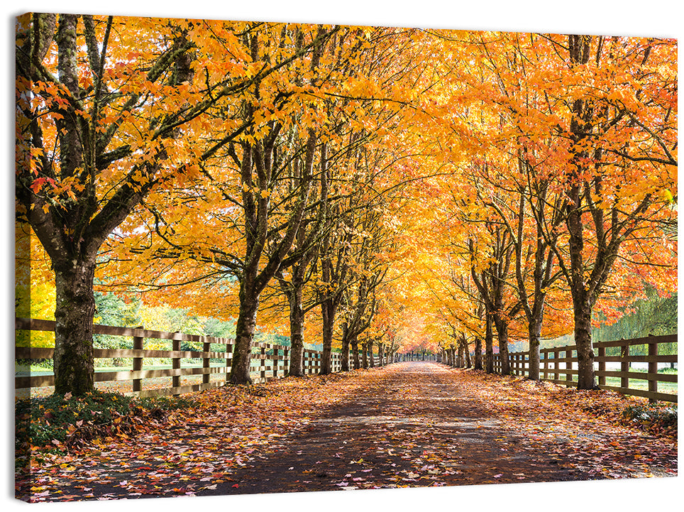 Maple Lane in Autumn Wall Art, canvas print, landscape