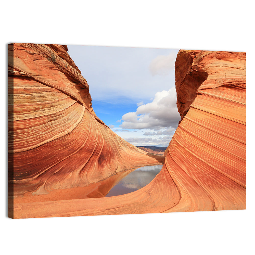 The Wave at Coyote Buttes Wall Art, canvas print, landscape